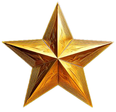 Gold star mom